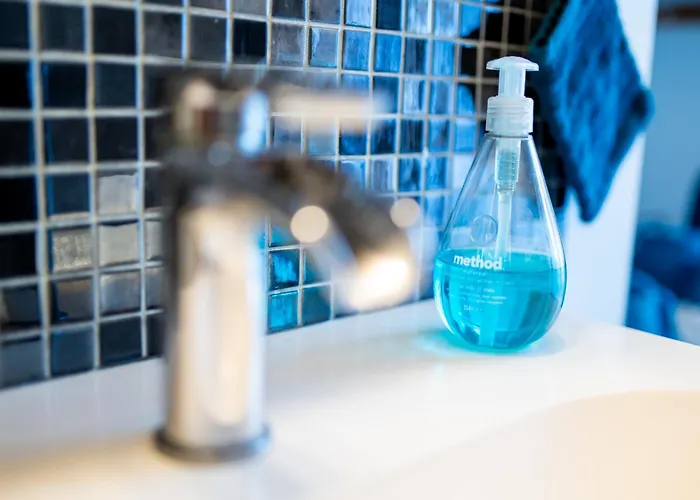 Maison Leonard Holiday home *